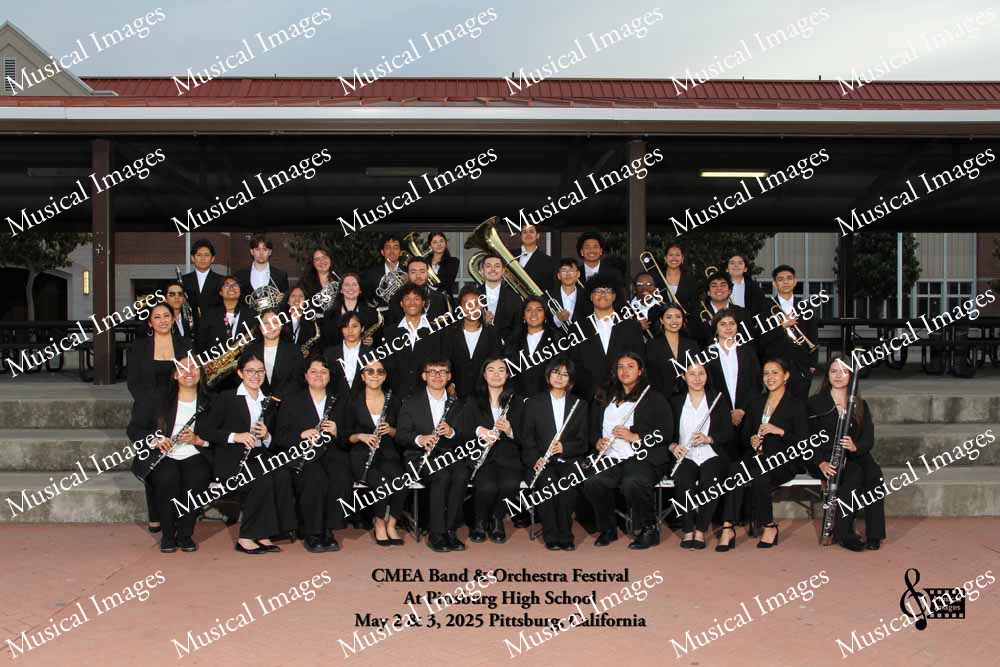 Musical Images